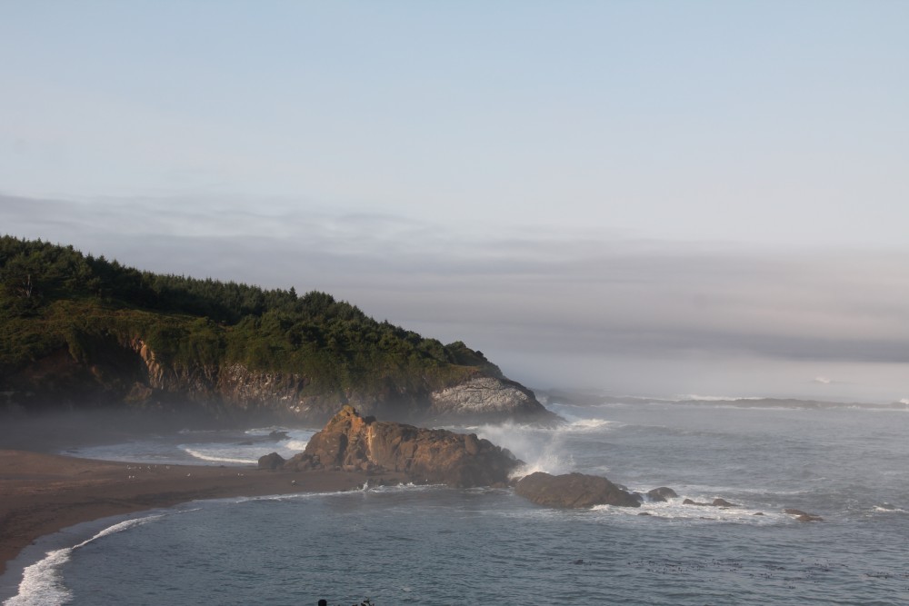 Sun Breaking Through as Fog Burns Off